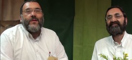 פרופסור למתמטיקה – פעיל שדכנות